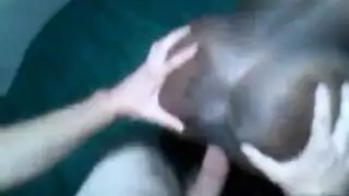 ابن يريد افراح امه