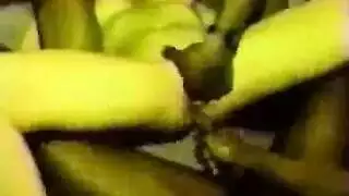 جلسة جماع لثدي كبير