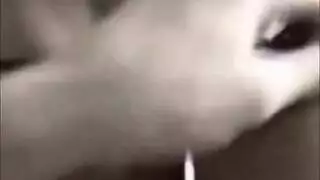 مراهقة مثيرة تكشف عن نفسها من أجل متعة صريحة